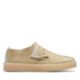 Maple Hairy SDE