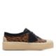 Tortoiseshell