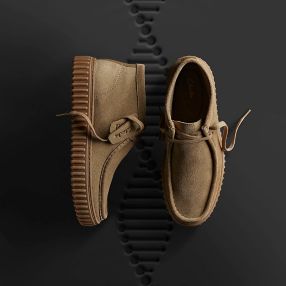 Clarks® Shoes Site