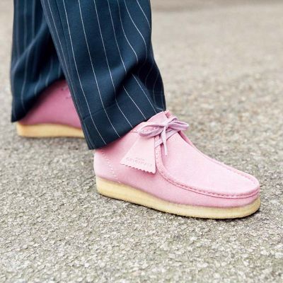 clarks polyveldt