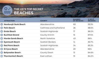 clarks idyllic gem pump