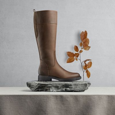 nearest clarks shop to me