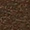 breccan tan
