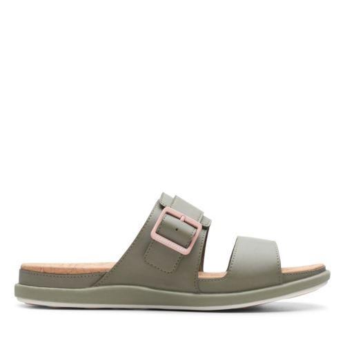 clarks june tide