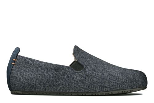 clarks kite falcon